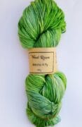 Hand Dyed Merino Wool 4 Ply 100g - Hylidae