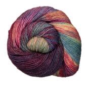 Malabrigo Dos Tierras 8 ply 100g - Aniversario 005