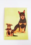 Card - Australian Kelpie