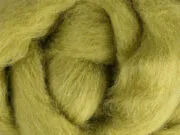Bean Sprout