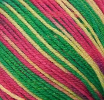 Fibra Natura Lima Colours 8 Ply 100g - 42141