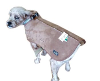 Sheepskin dog coat