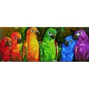 Diamond Dotz - Rainbow Parrots