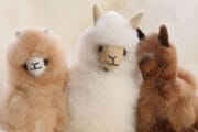 prod-alpaca-toys-04