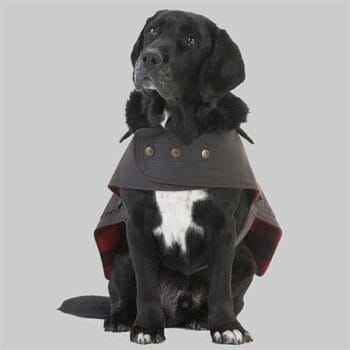 Swanndri Oilskin Wool Lined Dog Coat
