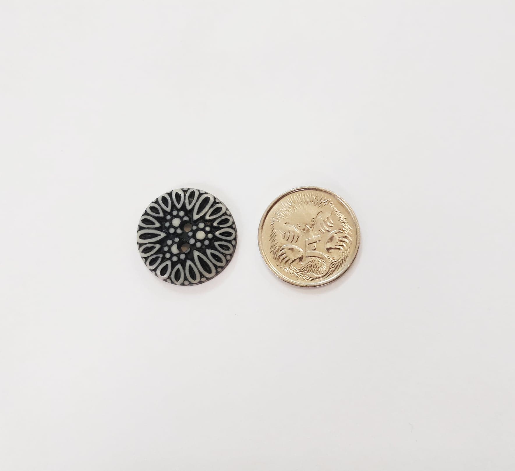 64372150_339983570019945_1084038771868958720_n