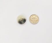 64488113_373541426628738_1721545247265128448_n