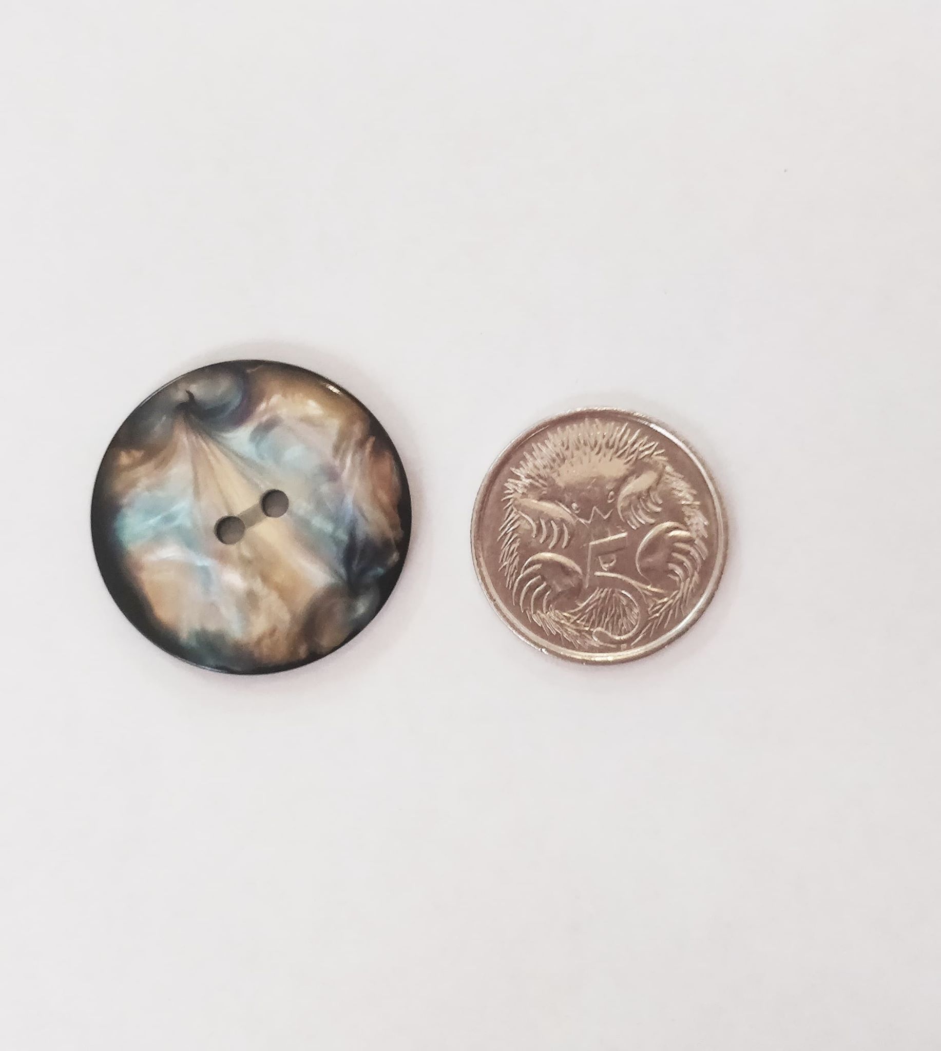 64493232_339822340045604_7591239788124962816_n