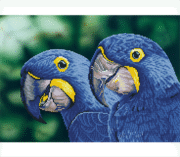 Diamond Dotz - Blue Hyacinth Macaws