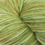 Cascade Spuntaneous Worsted Effects 100g - Citrus 310