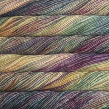 Malabrigo Silky Merino 8 Ply - Arco Iris