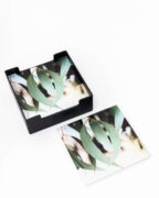 Glass Coasters Set of 6 - Blush Gum Leaves