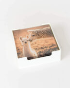 Glass Coasters Set of 6 - Mum & Bub Llama