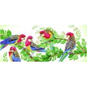 Diamond Dotz - Eastern Rosella Gathering