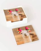 Glass Coasters Set of 6 – Fashion Tassel Llama