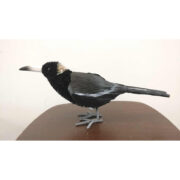 Bristlebrush Magpie Large