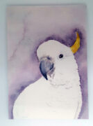 Birds-Australian-Magnet-Set-Original-Artwork-Creatively-Belle