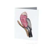 Creatively Belle Galah Card