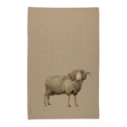 Organic Cotton Tea Towel - Merino Ram
