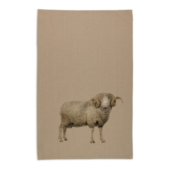Organic Cotton Tea Towel - Merino Ram