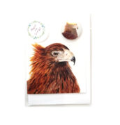 Creatively Belle Wedge Tail Eagle Magnet & Card Set