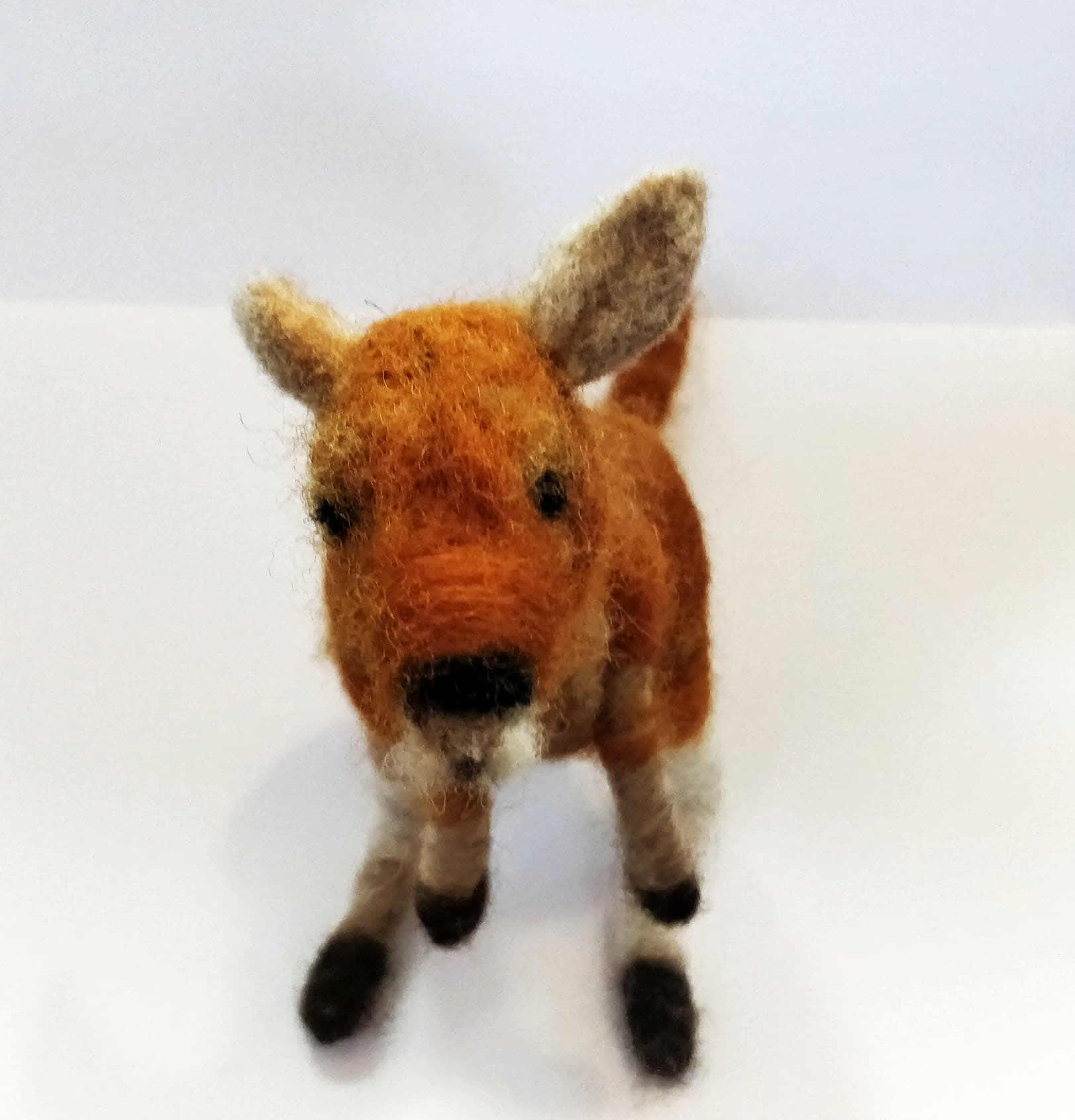 71546698_757751704662442_3343169738246193152_n