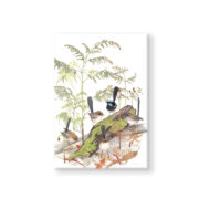 Meg Wells - Wrens Card