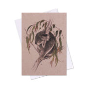 Meg Wells - Koala Card