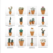Crochet Cactuses COVER.indd