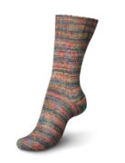 91xWR6HcPIL._AC_SX466_