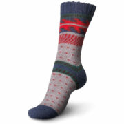 81n80-vicRL._AC_SY741_