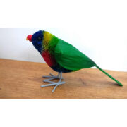 Bristlebrush Rainbow Lorikeet Medium