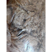 90115645_659984708172019_4114094145717403648_n