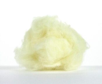 Core Wool 100g