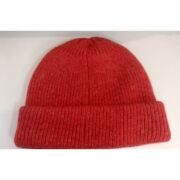 100743349_2556148421305149_5252687824108388352_n