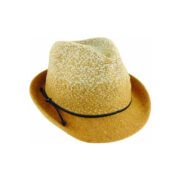 Avenel Boiled Wool Trilby