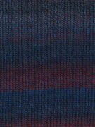 Queensland Collection Brisbane - Swarthy Parrotfish 08