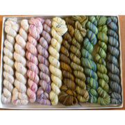 Koigu Pencil Box - Sweet Pea