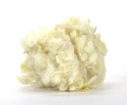 Scoured White Blue Faced Leicester Fleece Wool 100g