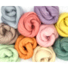 Pretty Pastels Merino Wool Roving Pack - 250g