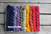 Koigu Pencil Box KPPPM - Dance Club