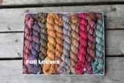 fallleavesIMG_3858