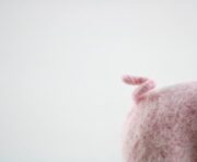 PIPNFK_2d115f30-f8ca-41fd-b156-d3c50332bd66_656x538