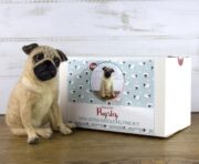 Pugsley The Pug Needle Felting Kit