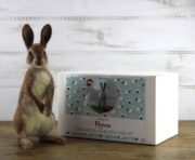 Romeo The Rabbit Needle Felting Kit