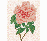 Diamond Dotz - Blush Rose