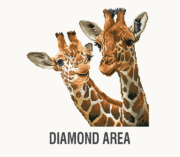 imagepreview