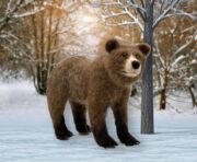 Bruno The Bear Needle Felting Kit