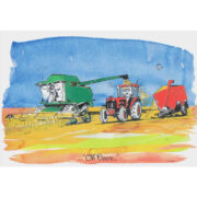 Outback Antics Card - Oh Deere