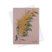 Greeting Card - Golden Wattle